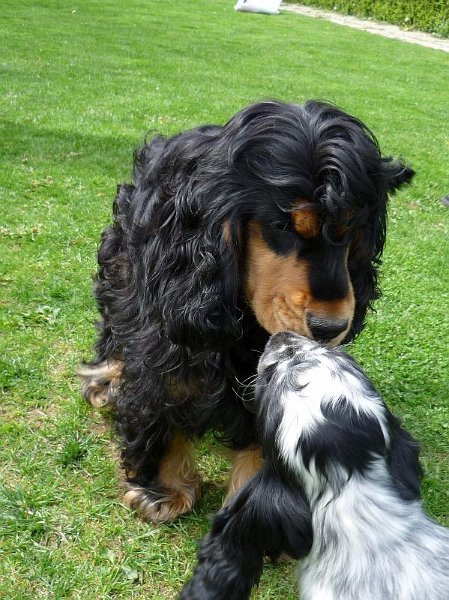 Karel-Argo 8.5.2010 a.JPG